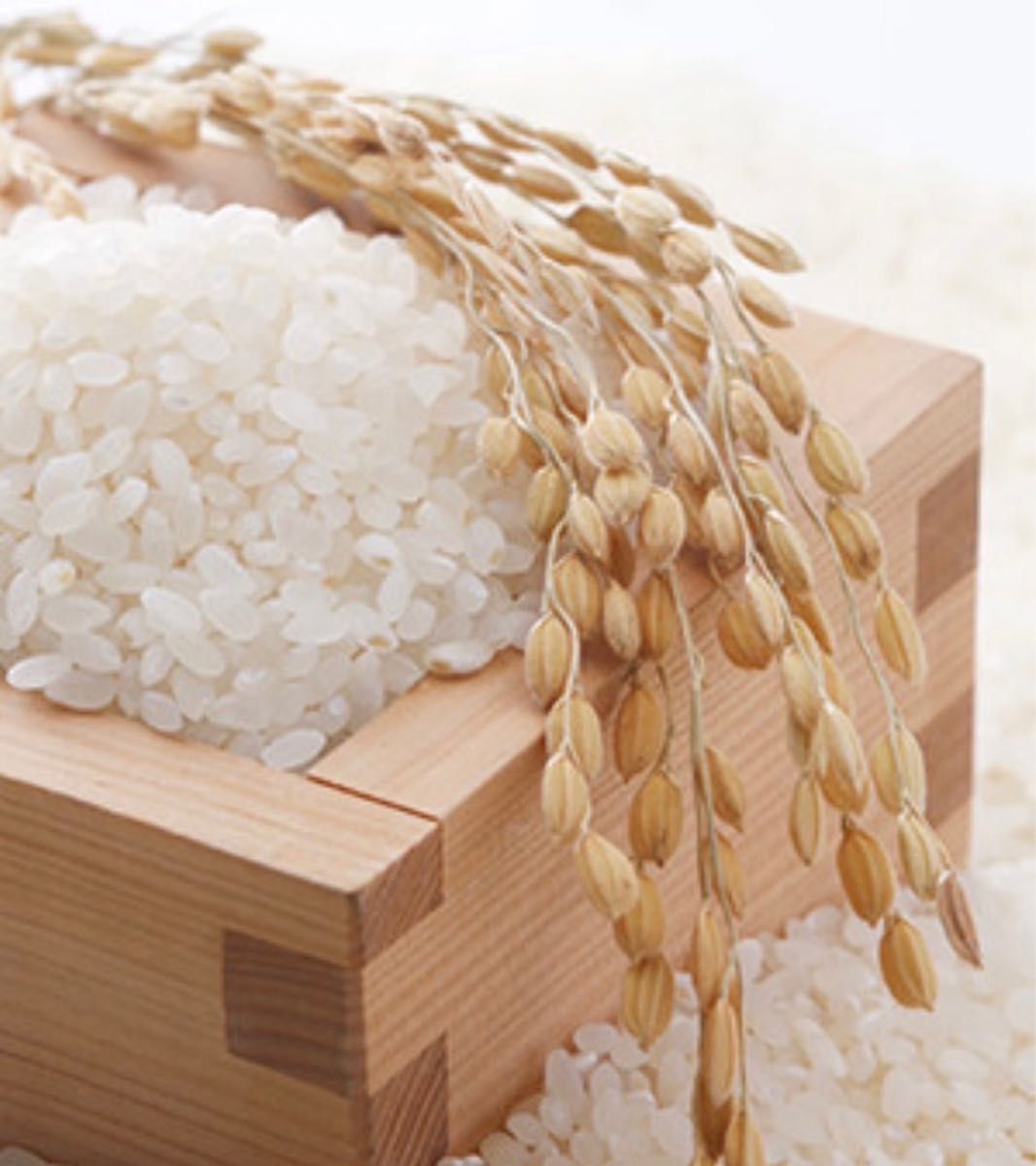 お米 精米【岩手県産金色の風20kg】5kg×4 岩手の最上級米 感動の お米 精米【岩手県産金色の風20kg】5kg×4 岩手の最上級米 感動の