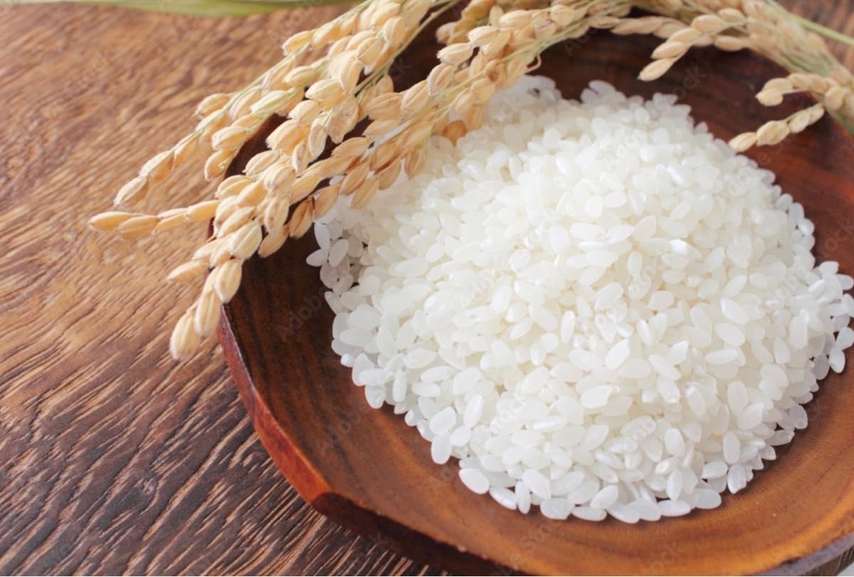お米 精米【令和6年産岩手県産ひとめぼれ30kg】5kg×6 もちもち お米 精米【令和6年産岩手県産ひとめぼれ30kg】5kg×6 もちもち