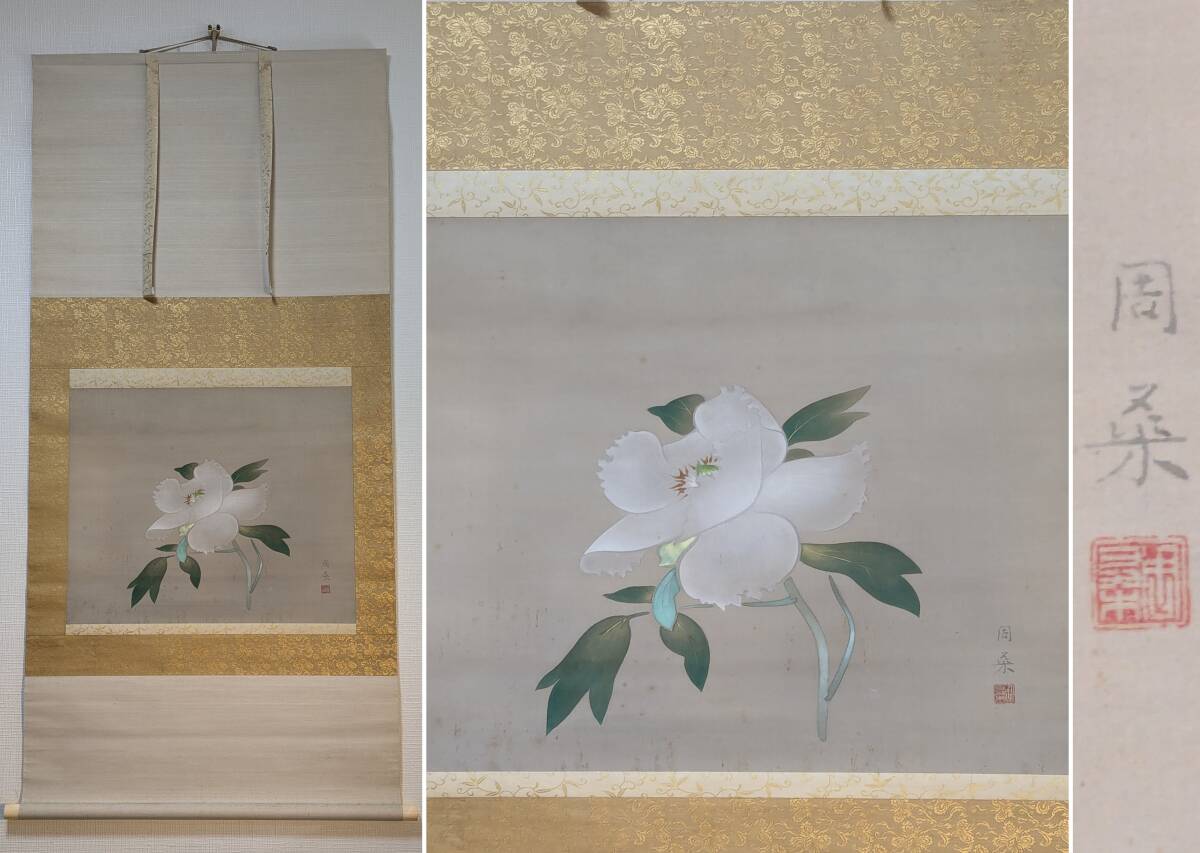 【真作】掛軸 高橋周桑 白牡丹 静寂の美 花鳥画 名品 二重箱入 R148 i-img1200x853-