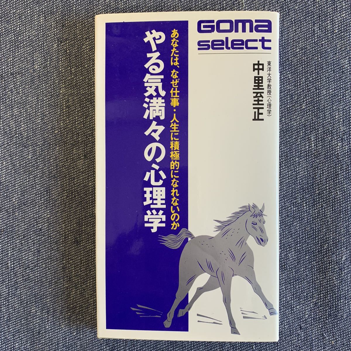 ヤフオク やる気満々の心理学 著 中里至正 東洋大学教授 ヤフオク やる気満々の心理学 著 中里至正 東洋大学教授