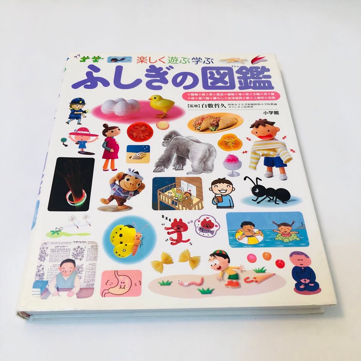 楽しく遊ぶ学ぶふしぎの図鑑 (小学館の子ども図鑑プレNEO 楽しく遊ぶ学ぶふしぎの図鑑 (小学館の子ども図鑑プレNEO
