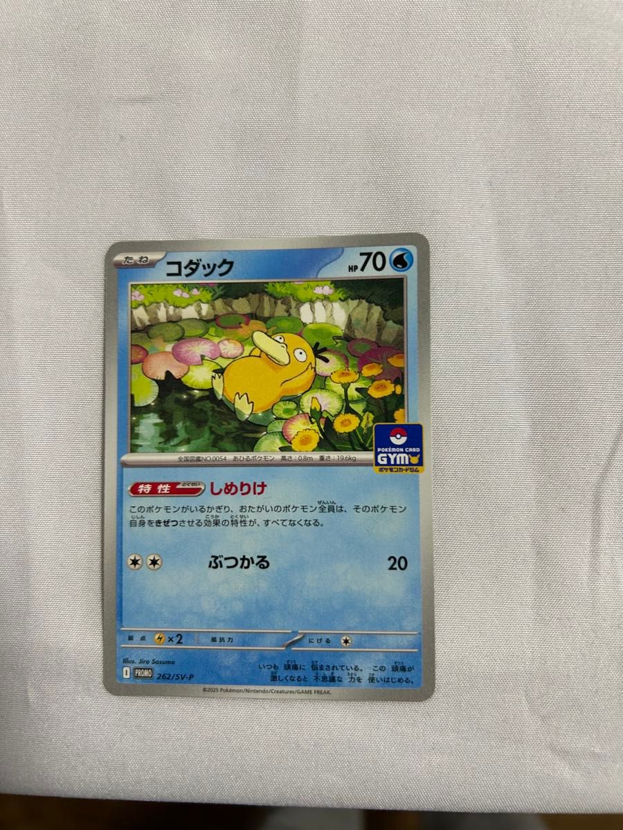 ポケモンカード コダック しめりけ ジムプロモ|Yahoo!フリマ ポケモンカード コダック しめりけ ジムプロモ|Yahoo!フリマ