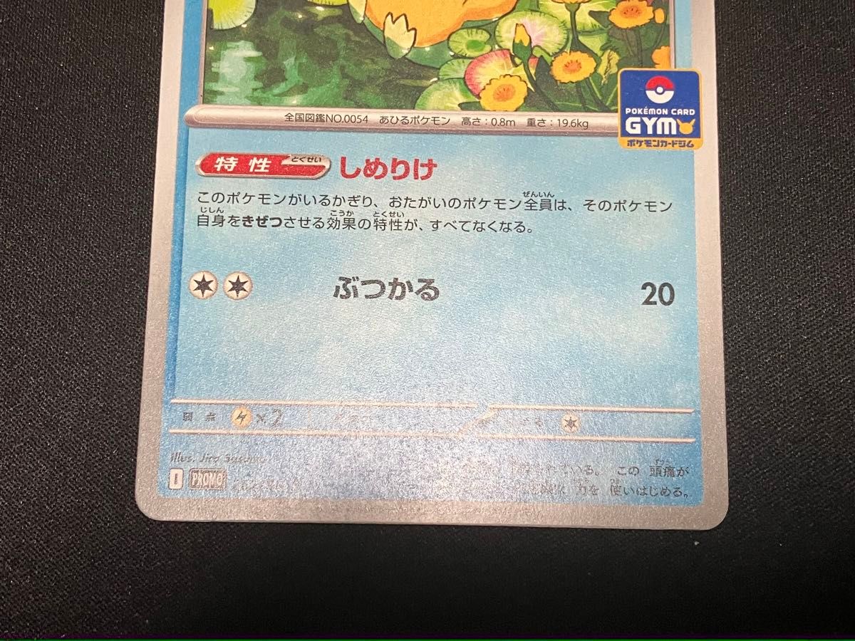 コダック ゴルダック しめりけ ポケカ プロモ ジムバトル コダック ゴルダック しめりけ ポケカ プロモ ジムバトル