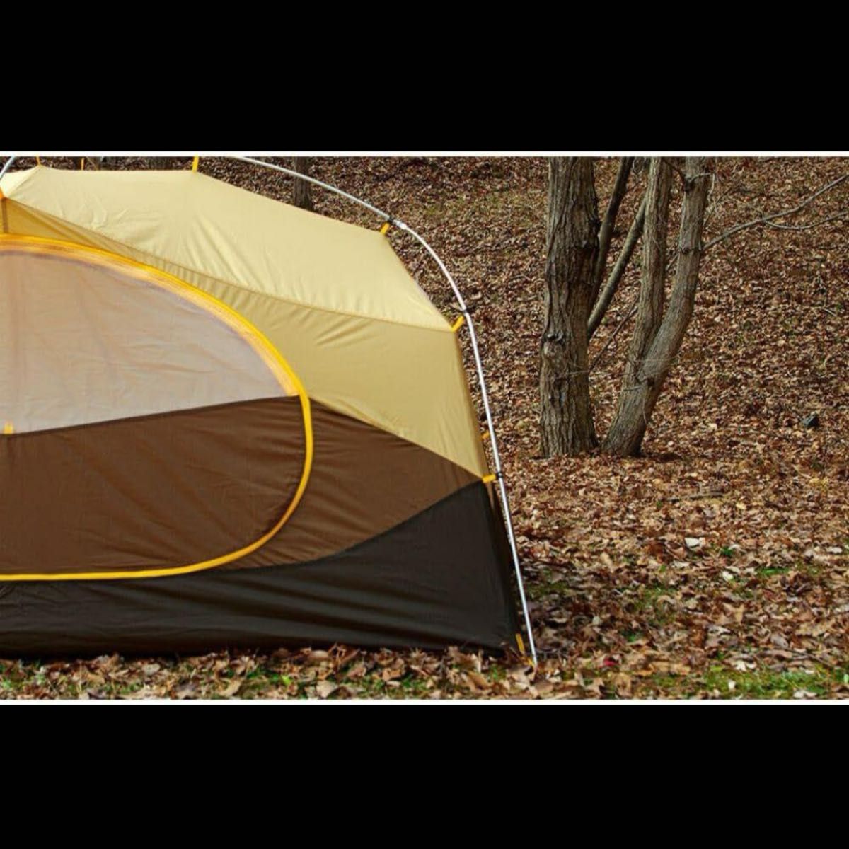 NEMO Aurora Storm 2P ニーモ オーロラストーム 2人用|Yahoo NEMO Aurora Storm 2P ニーモ オーロラストーム 2人用|Yahoo