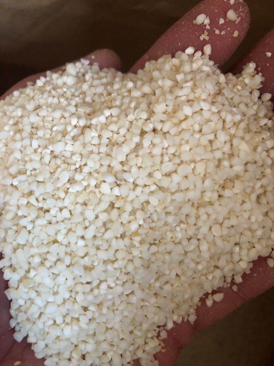 砕米 20kg 鶏飼料 野鳥の餌に使えるお米|Yahoo!フリマ(旧 砕米 20kg 鶏飼料 野鳥の餌に使えるお米|Yahoo!フリマ(旧