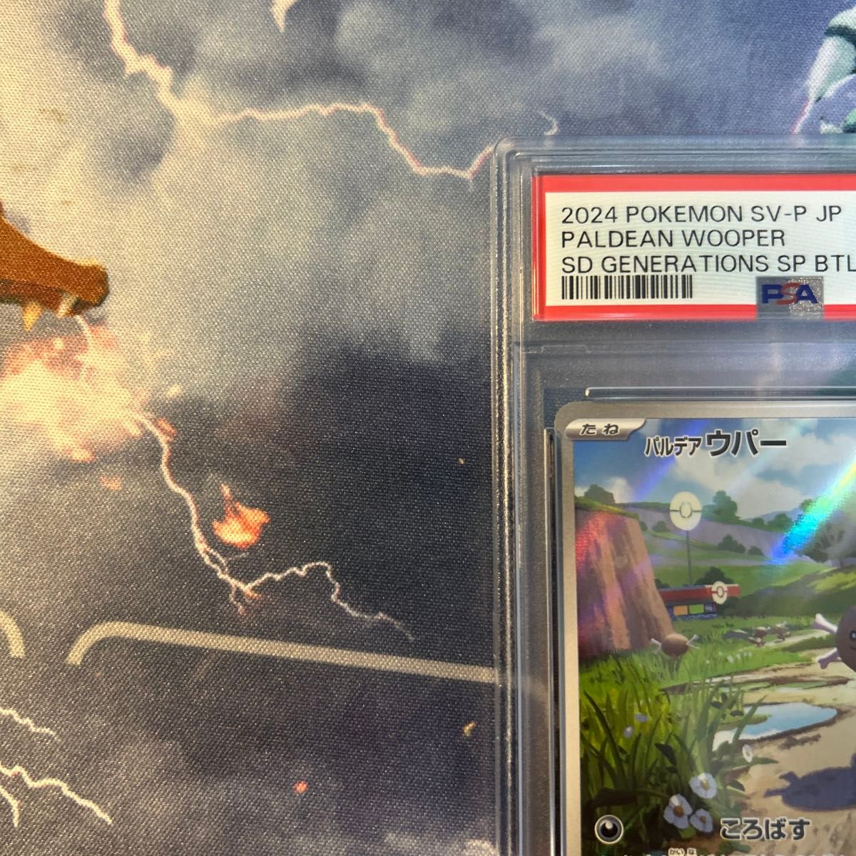 パルデアウパー プロモ psa10|Yahoo!フリマ(旧PayPayフリマ) パルデアウパー プロモ psa10|Yahoo!フリマ(旧PayPayフリマ)