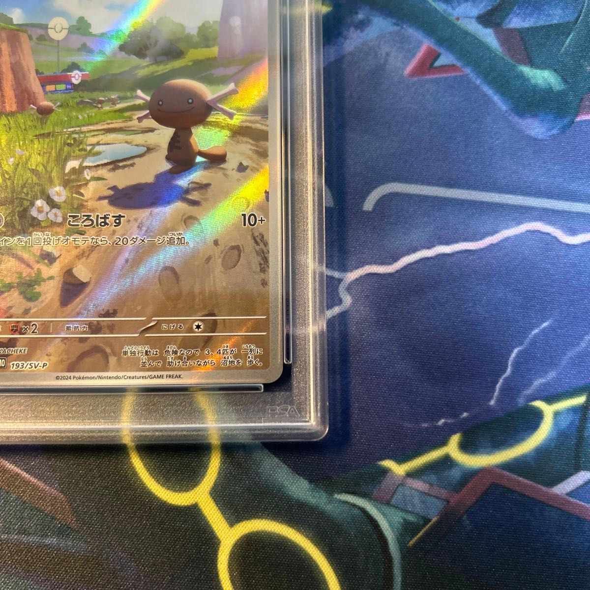パルデアウパー プロモ psa10|Yahoo!フリマ(旧PayPayフリマ) パルデアウパー プロモ psa10|Yahoo!フリマ(旧PayPayフリマ)