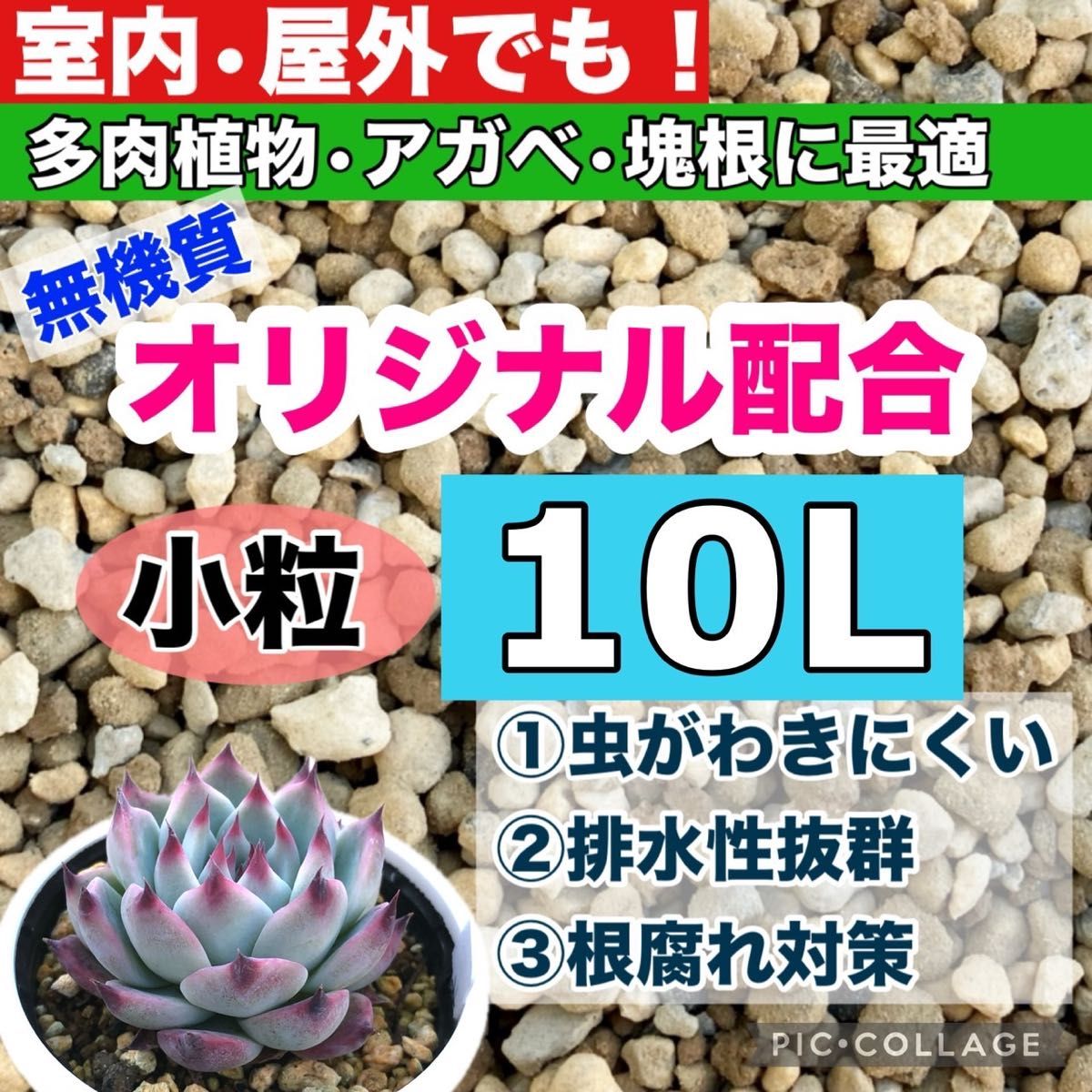 多肉植物 アガベ・塊根植物の土 10リットル|Yahoo!フリマ(旧 多肉植物 アガベ・塊根植物の土 10リットル|Yahoo!フリマ(旧