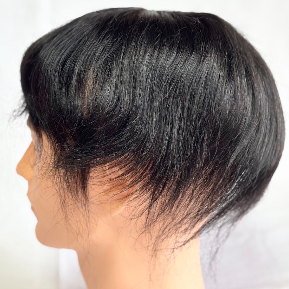 14×22サイズ】メンズ ウィッグ 男性用 かつら 100%人毛 黑色 14×22サイズ】メンズ ウィッグ 男性用 かつら 100%人毛 黑色