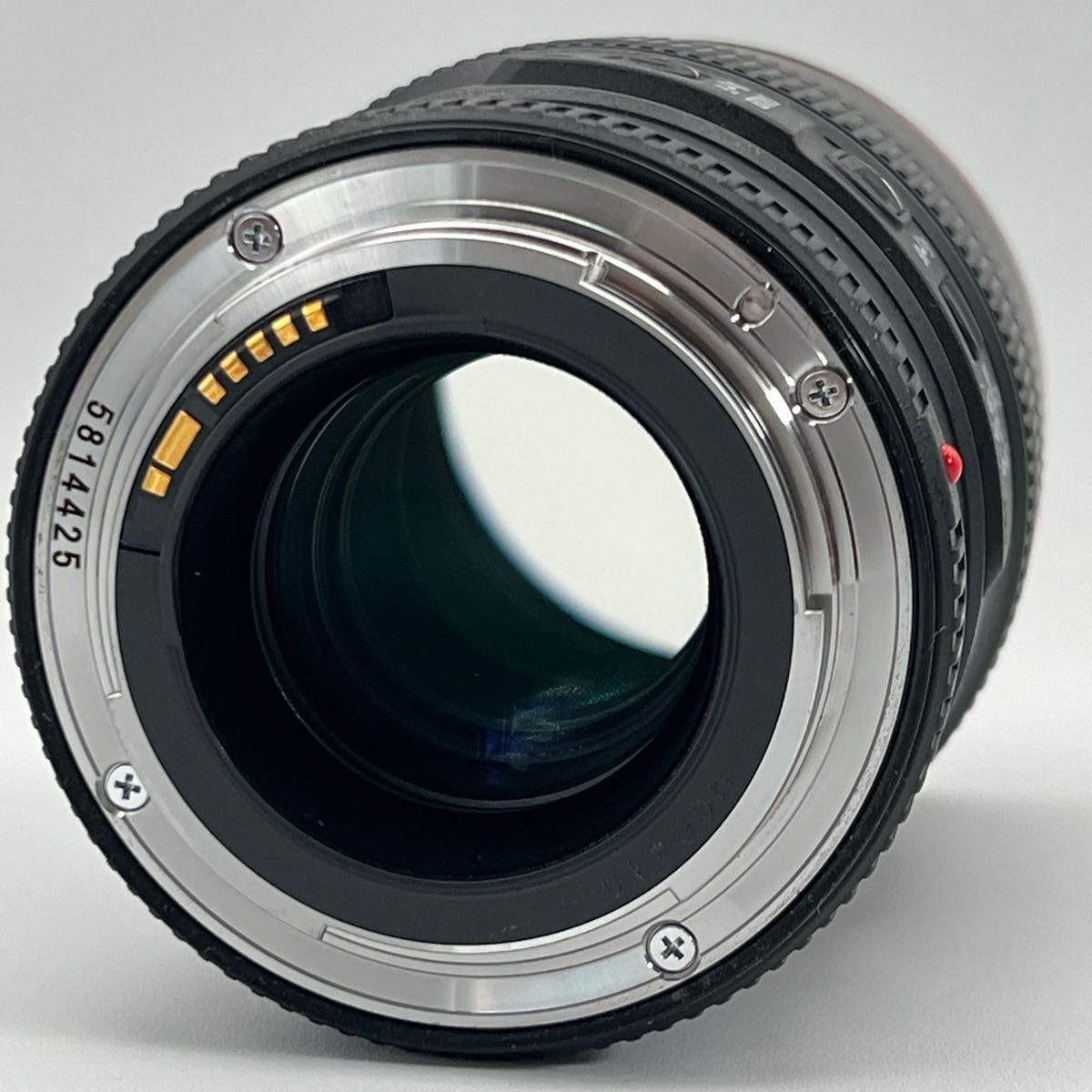 Canon EF 100mm F2 8 L IS USM マクロレンズ ET-73付き キャノン Canon EF 100mm F2 8 L IS USM マクロレンズ ET-73付き キャノン
