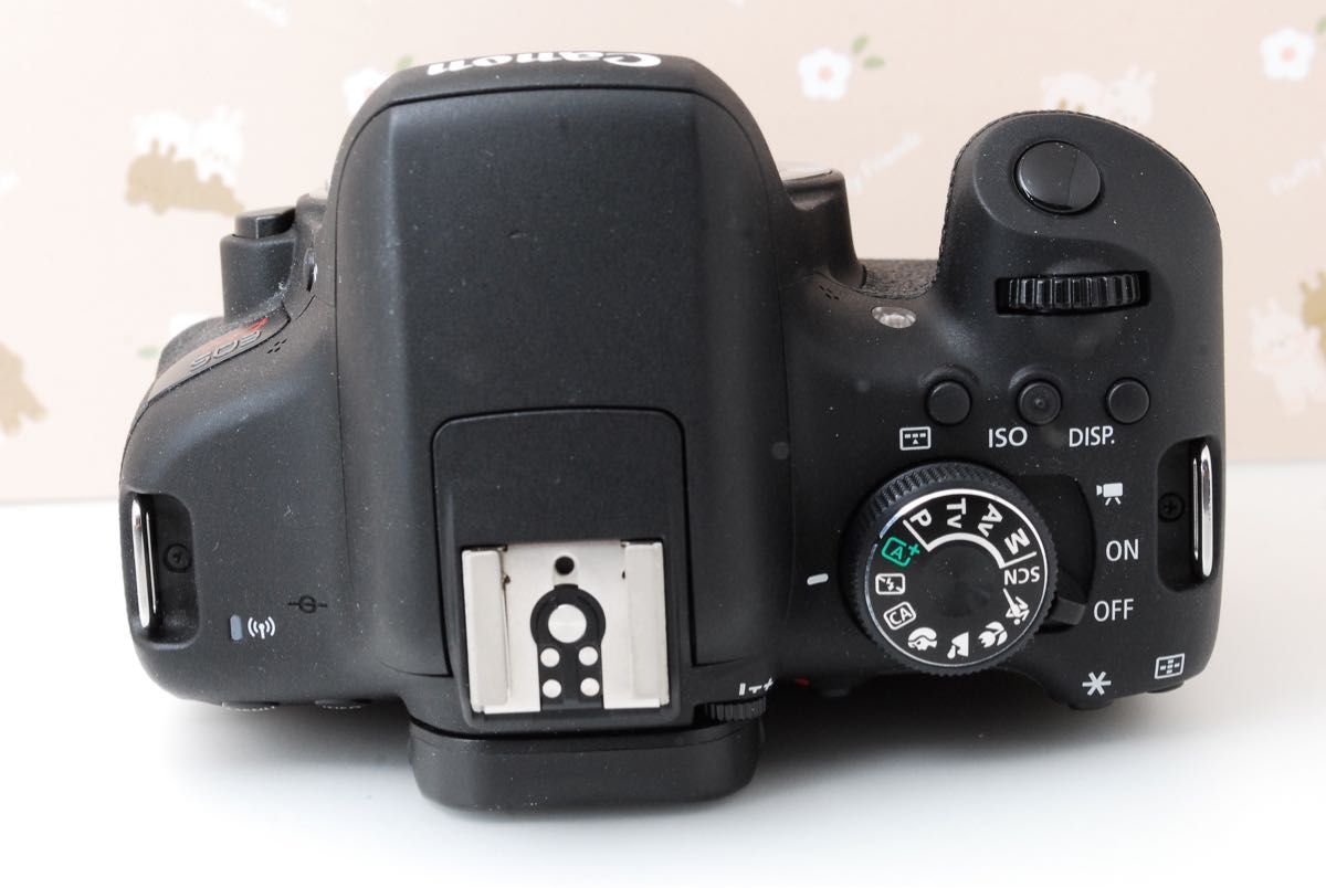 美品 Wi-Fi Canon Kiss X8i 自撮り 高性能デジタル一眼レフ 美品 Wi-Fi Canon Kiss X8i 自撮り 高性能デジタル一眼レフ