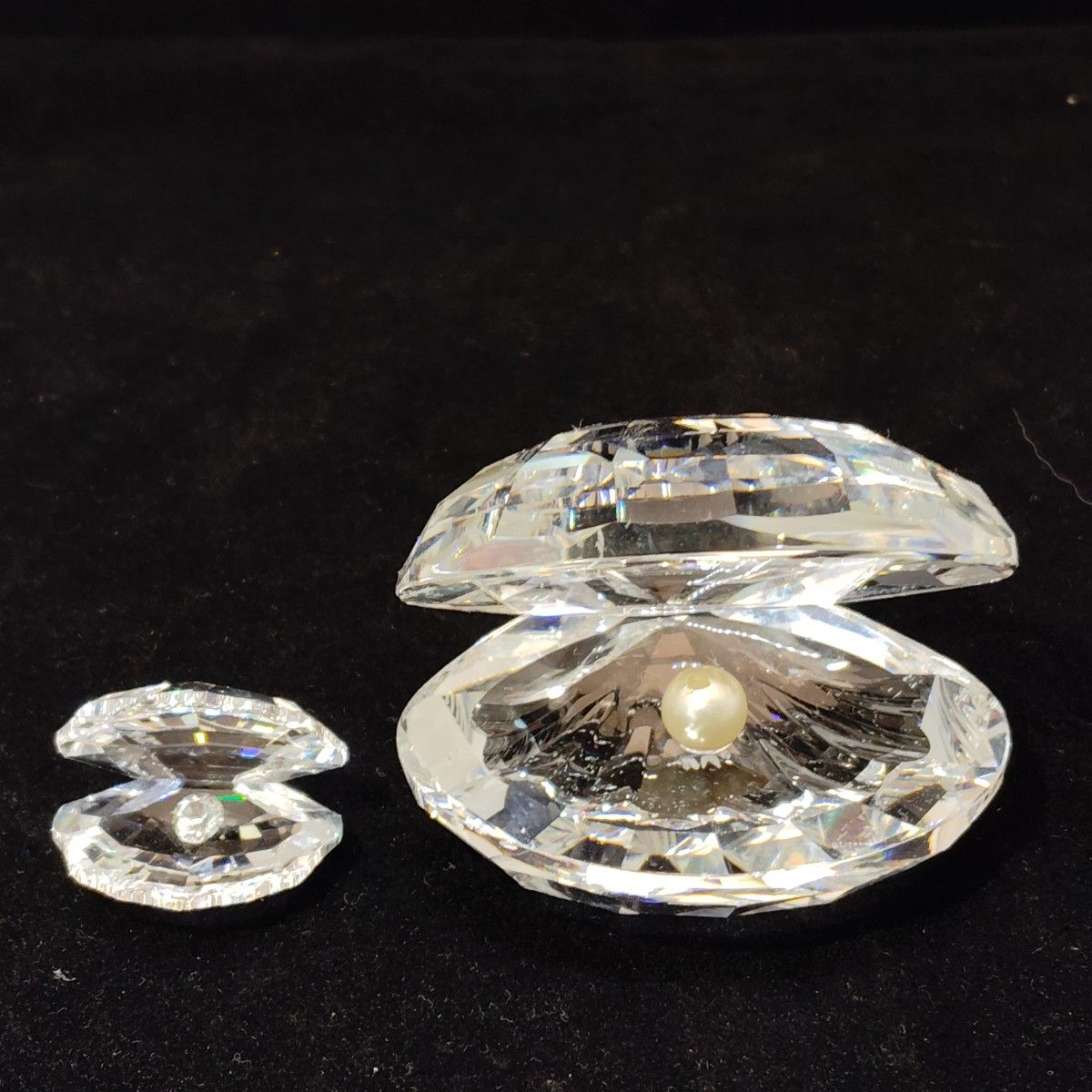 SWAROVSKI スワロフスキー 貝 クリスタル シェル パール 真珠 SWAROVSKI スワロフスキー 貝 クリスタル シェル パール 真珠