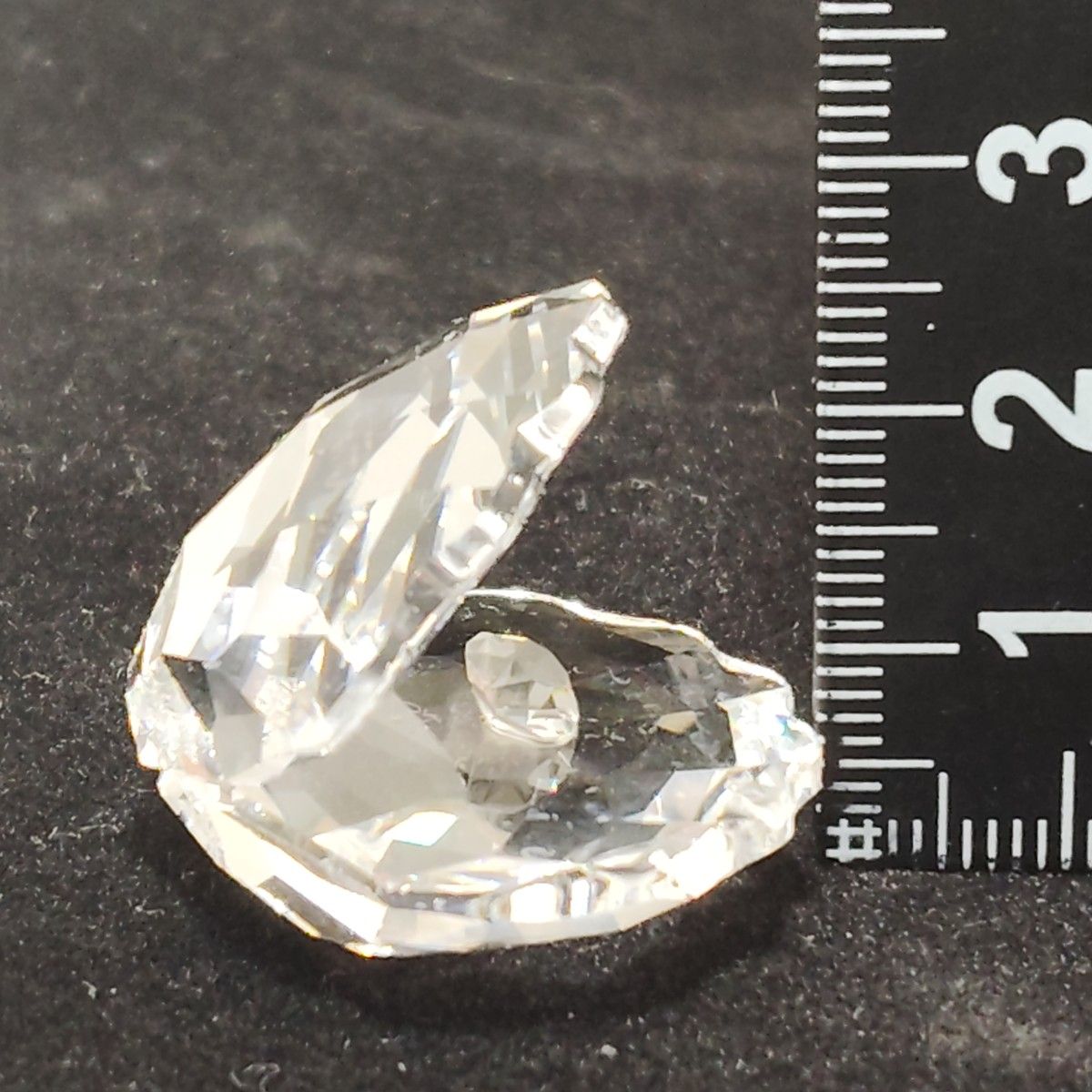 SWAROVSKI スワロフスキー 貝 クリスタル シェル パール 真珠 SWAROVSKI スワロフスキー 貝 クリスタル シェル パール 真珠