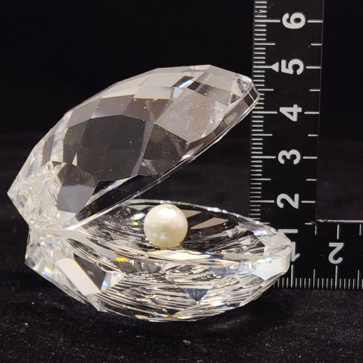 SWAROVSKI スワロフスキー 貝 クリスタル シェル パール 真珠 SWAROVSKI スワロフスキー 貝 クリスタル シェル パール 真珠