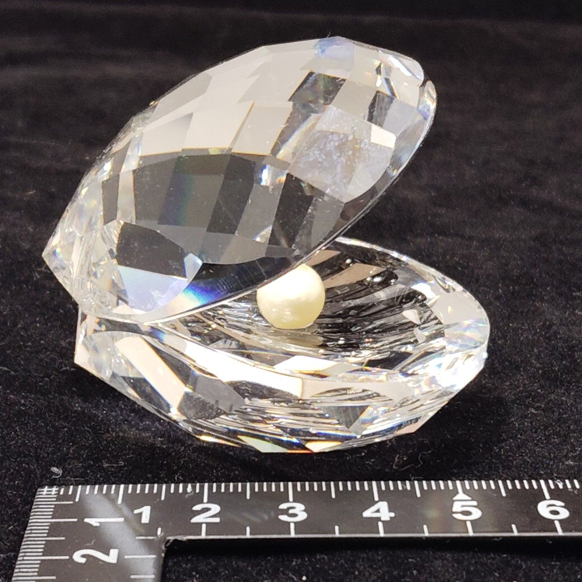 SWAROVSKI スワロフスキー 貝 クリスタル シェル パール 真珠 SWAROVSKI スワロフスキー 貝 クリスタル シェル パール 真珠