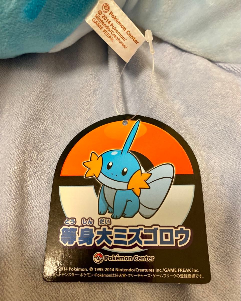 ポケモン 等身大ミズゴロウ ぬいぐるみ｜Yahoo!フリマ（旧PayPay