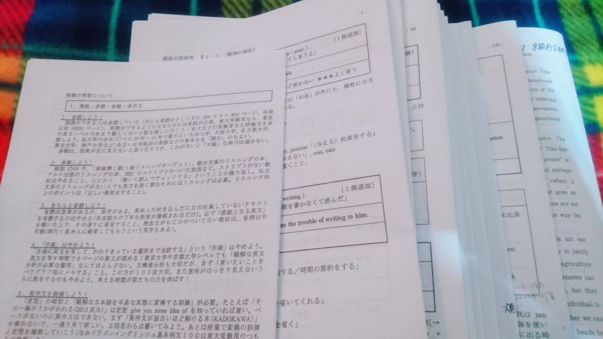 今季一番 河合塾 18年 駿台 駿台 文法語法研究S 通年 竹岡 英語 難関大