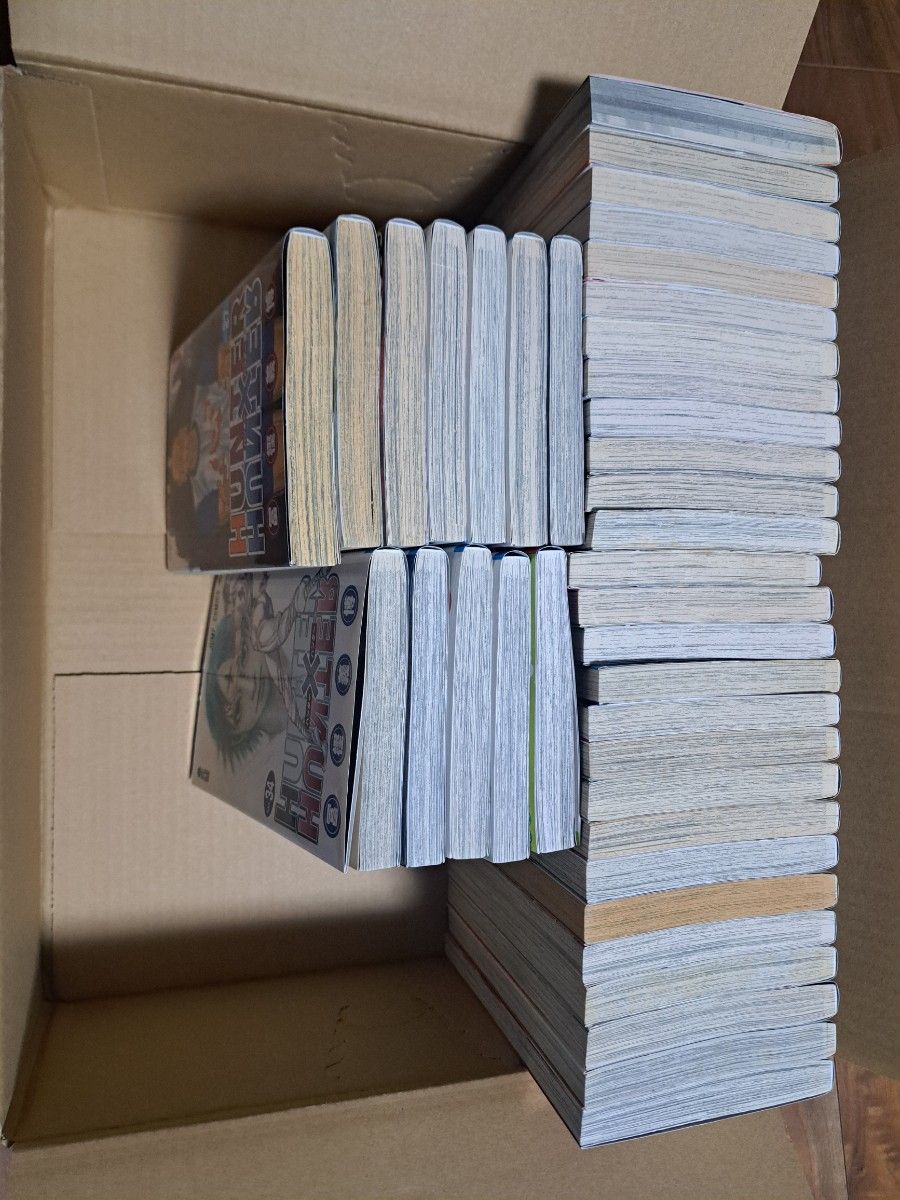 HUNTER×HUNTER 既刊全巻セット 1~38巻 関連本 合計39冊 HUNTER×HUNTER 既刊全巻セット 1~38巻 関連本 合計39冊