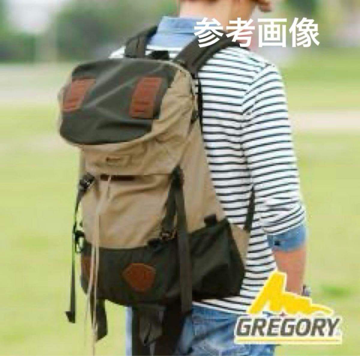 GREGORYグレゴリー「SUNBIRD RUCKSACK」2010サンバードラック GREGORYグレゴリー「SUNBIRD RUCKSACK」2010サンバードラック