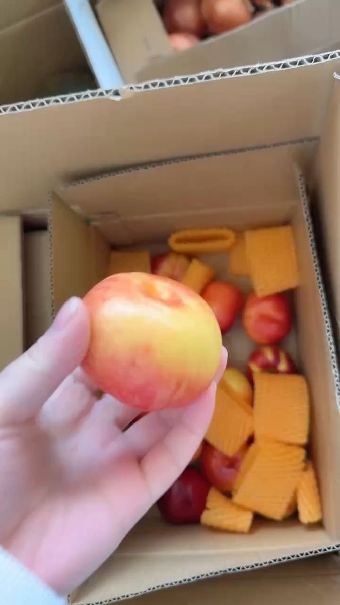 蟠桃1kg