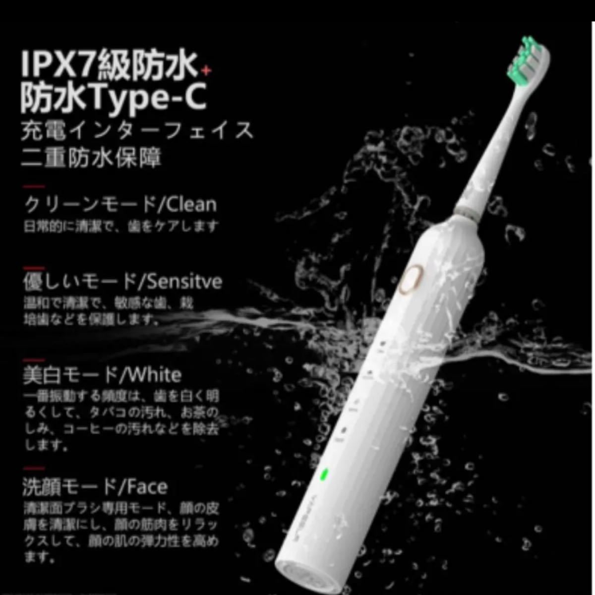 電動歯ブラシ 音波歯ブラシ 洗顔ブラシヘッド付き USB充電式 