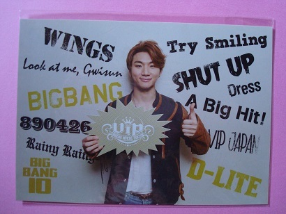 非売品　D-LITE from BIGBANG VIP カード　VIP JAPAN 　テソン　ディライト　でぃらいと　ポストカード_画像1