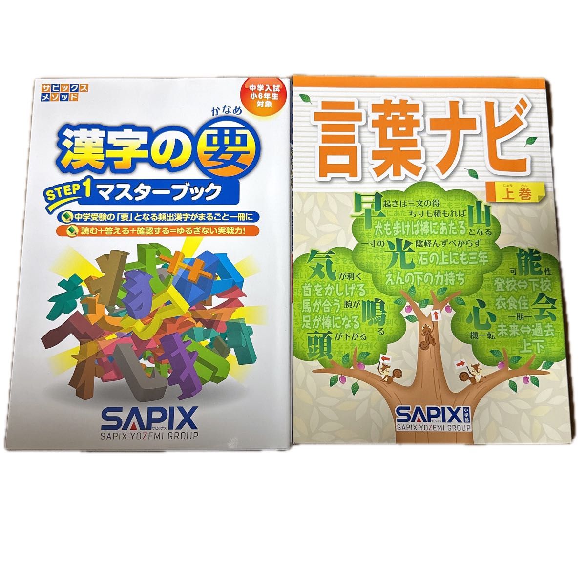 言葉ナビ 国語ドリル SAPIX 問題集 サピックス小学部 中学入試 言葉ナビ 国語ドリル SAPIX 問題集 サピックス小学部 中学入試