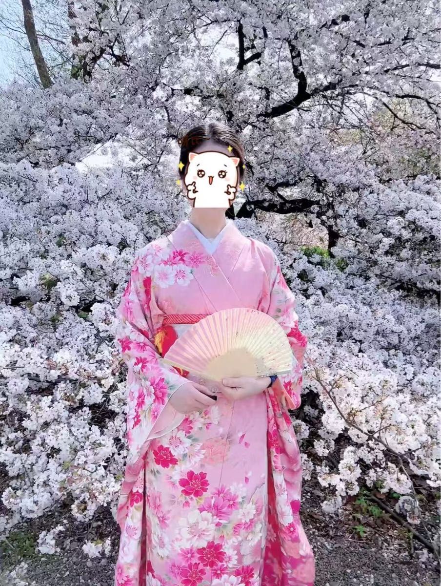 豪華振袖 森英恵・HANAE MORI 刺繍 桜舞花文 銀通し 正絹 身丈 豪華振袖 森英恵・HANAE MORI 刺繍 桜舞花文 銀通し 正絹 身丈