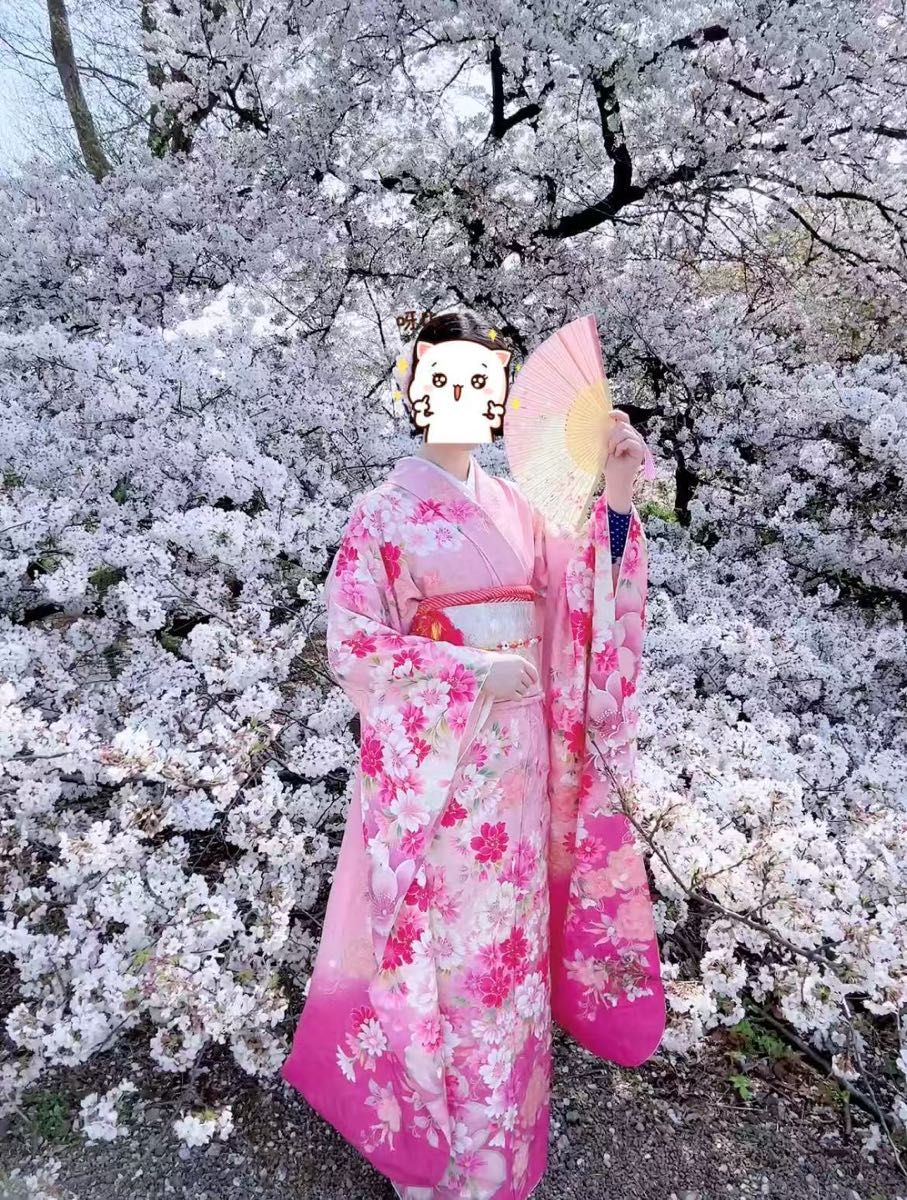 豪華振袖 森英恵・HANAE MORI 刺繍 桜舞花文 銀通し 正絹 身丈 豪華振袖 森英恵・HANAE MORI 刺繍 桜舞花文 銀通し 正絹 身丈