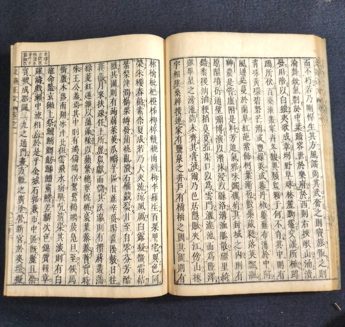Y390 漢詩 詩文集◇文選正文◇全12巻12冊揃 服部南郭 漢籍 漢文 Y390 漢詩 詩文集◇文選正文◇全12巻12冊揃 服部南郭 漢籍 漢文