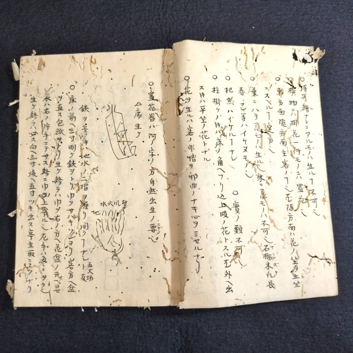 Y264 華道 絵入◇不許他見 松月堂先生 古流秘伝抄◇活花 挿花 Y264 華道 絵入◇不許他見 松月堂先生 古流秘伝抄◇活花 挿花