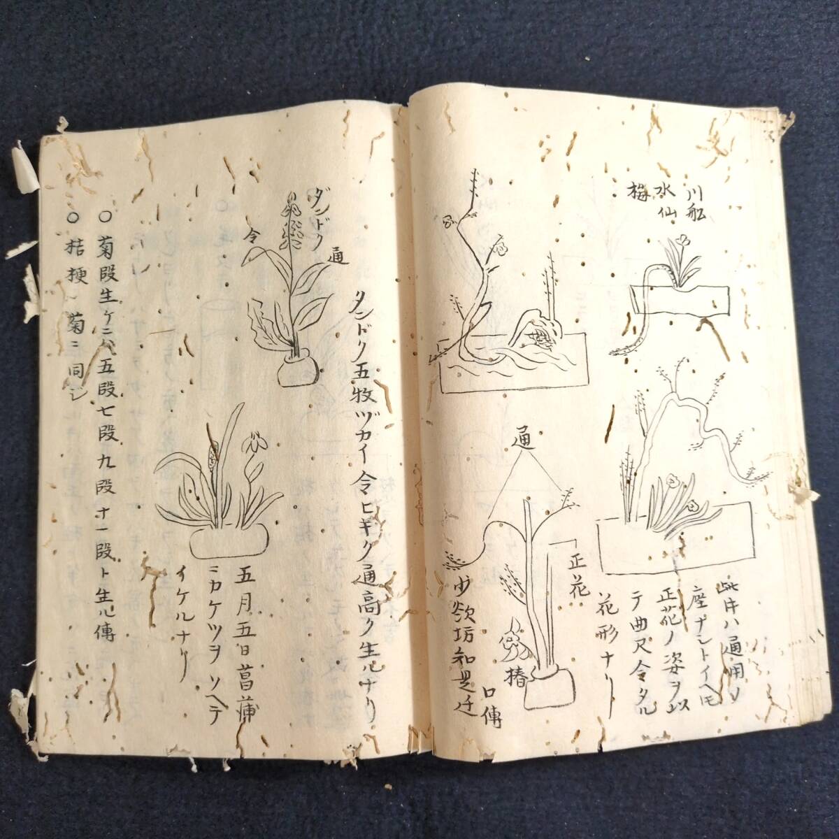 Y264 華道 絵入◇不許他見 松月堂先生 古流秘伝抄◇活花 挿花 Y264 華道 絵入◇不許他見 松月堂先生 古流秘伝抄◇活花 挿花