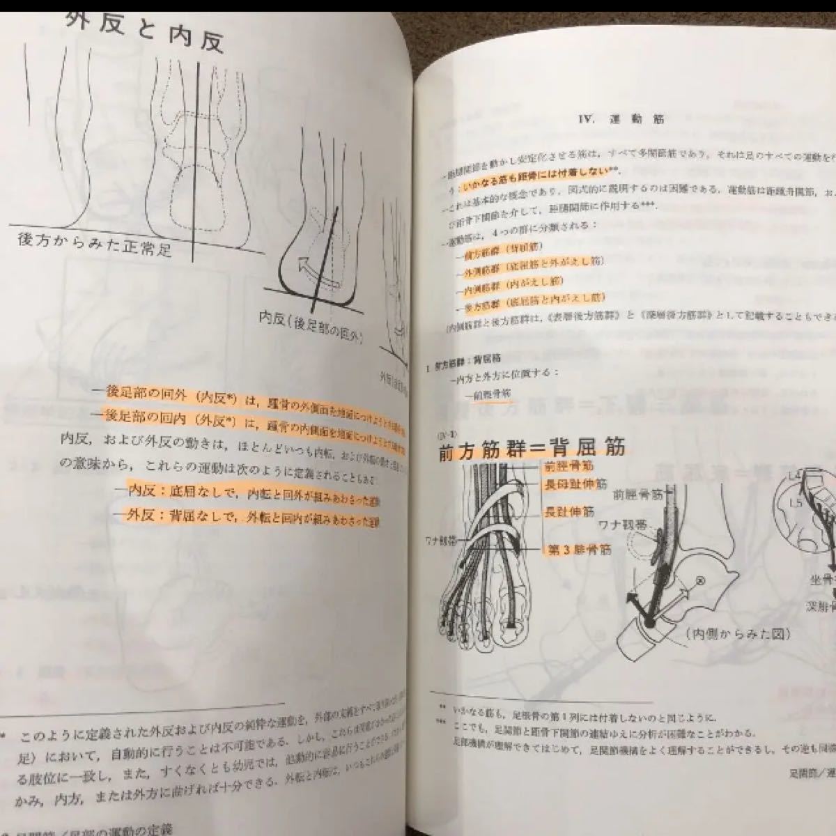 図解 関節・運動器の機能解剖 下 下肢編 図解 関節・運動器の機能解剖 下 下肢編|Yahoo!フリマ(旧
