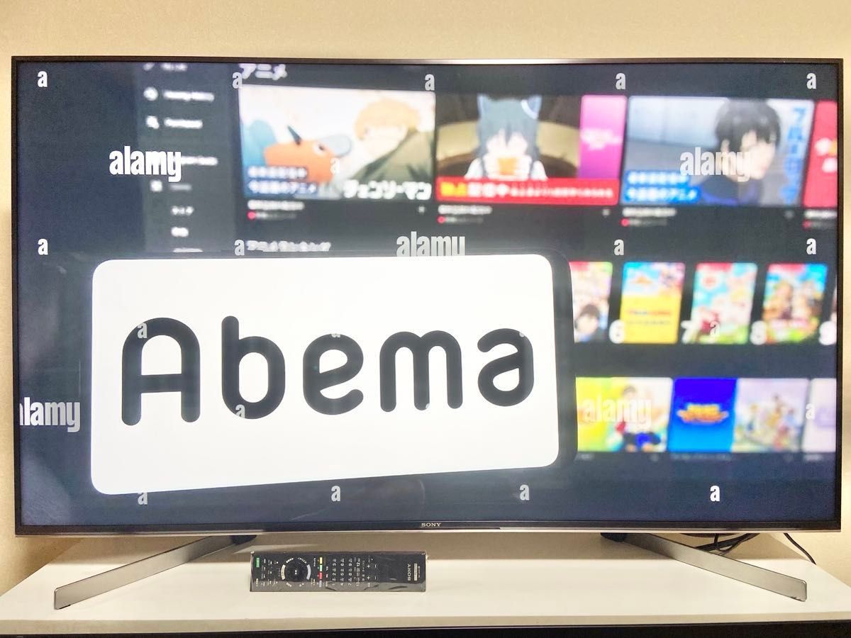 驚きの4K映像を 今だけ特別価格で――極上のソニー液晶テレビ 驚きの4K映像を 今だけ特別価格で――極上のソニー液晶テレビ