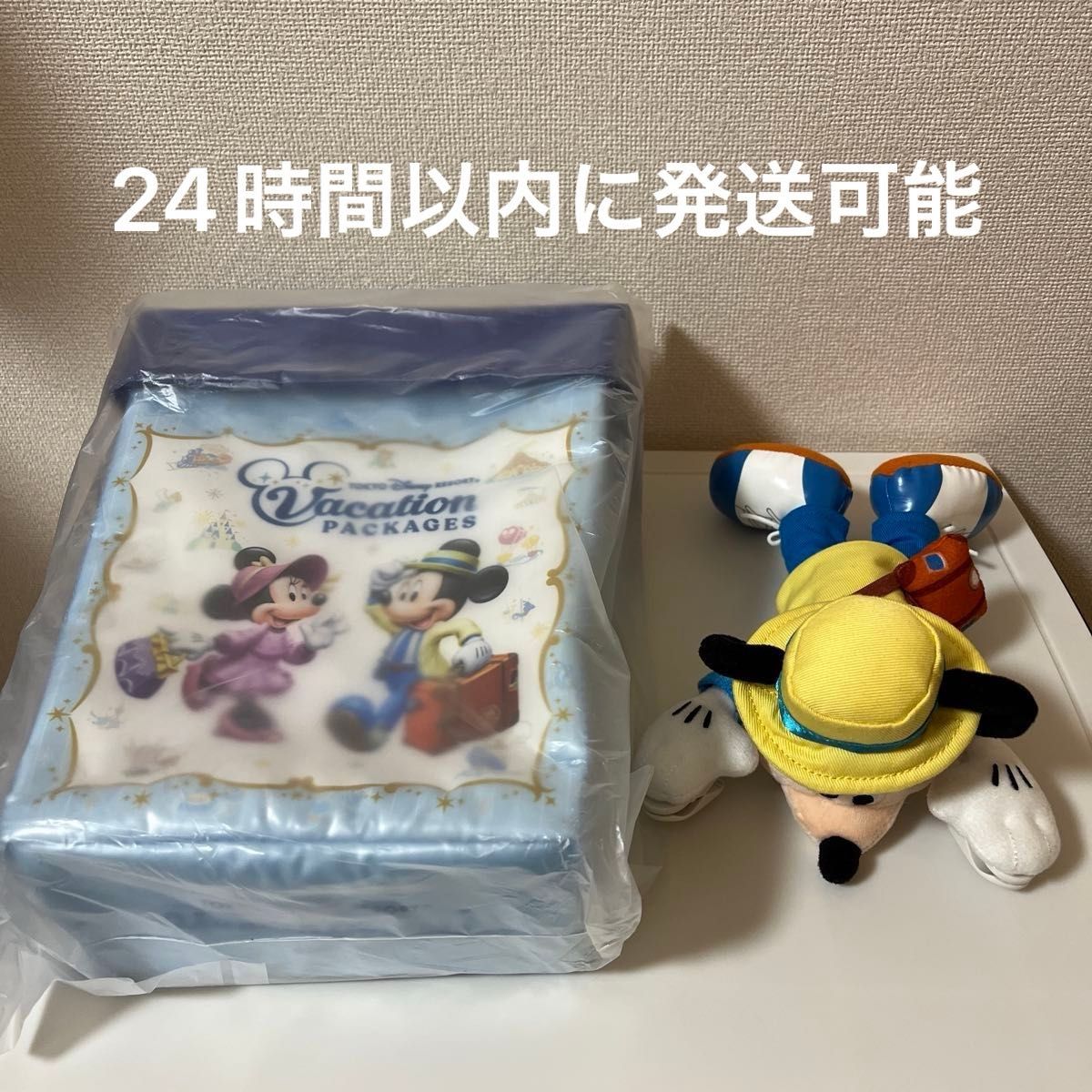 ディズニー バケーションパッケージ 特典 グッズ まとめ売り ディズニー バケーションパッケージ 特典 グッズ まとめ売り