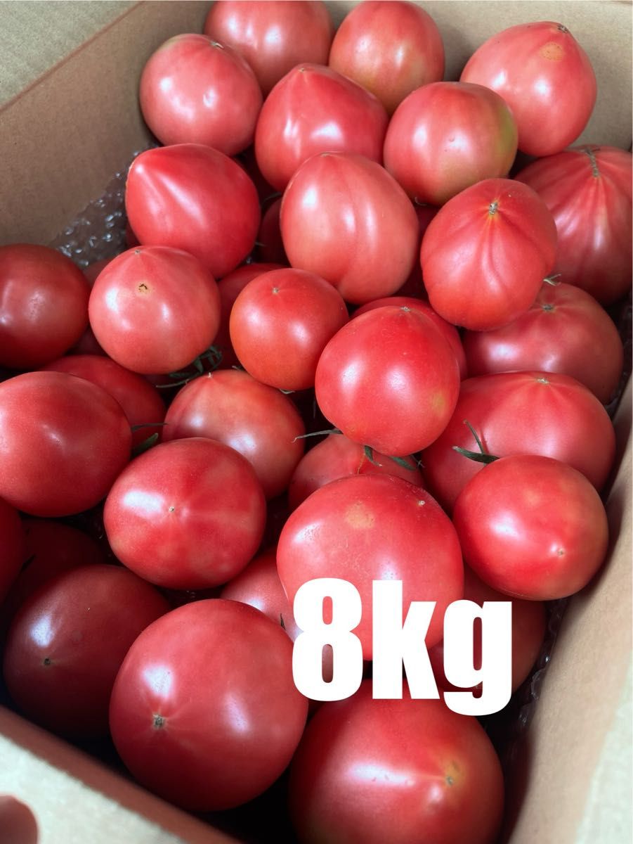 味の濃いトマト 8kg 数量限定 減農薬栽培 農家直送 産地直送 味の濃いトマト 8kg 数量限定 減農薬栽培 農家直送 産地直送