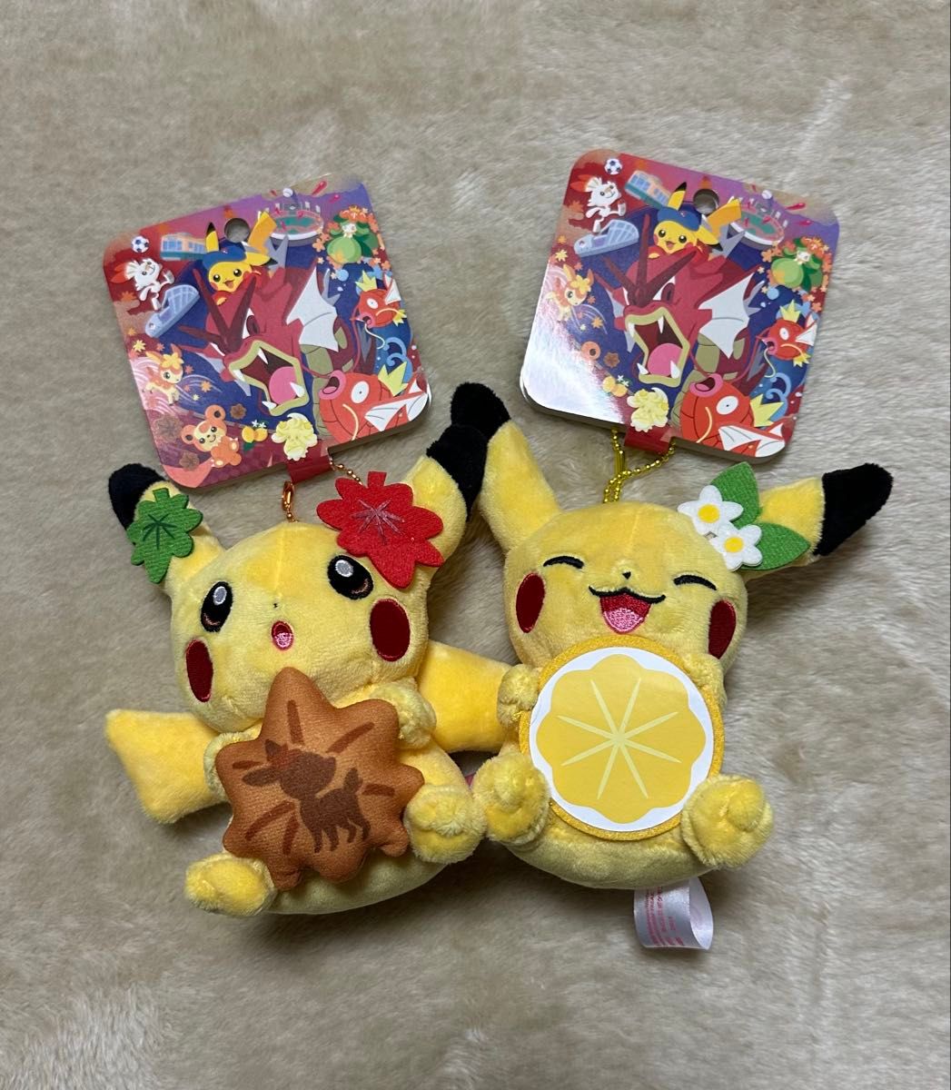 ポケモン ポケモンセンター ヒロシマ ピカチュウ ギャラドス ポケモン ポケモンセンター ヒロシマ ピカチュウ ギャラドス
