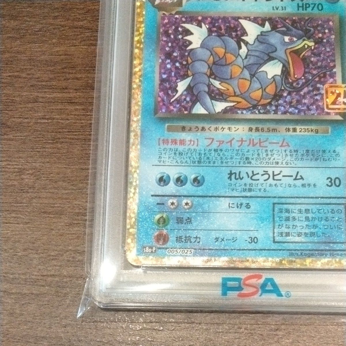 PSA10 1オーナー 2025年3月鑑定 わるいギャラドス 25th プロモ PSA10 1オーナー 2025年3月鑑定 わるいギャラドス 25th プロモ