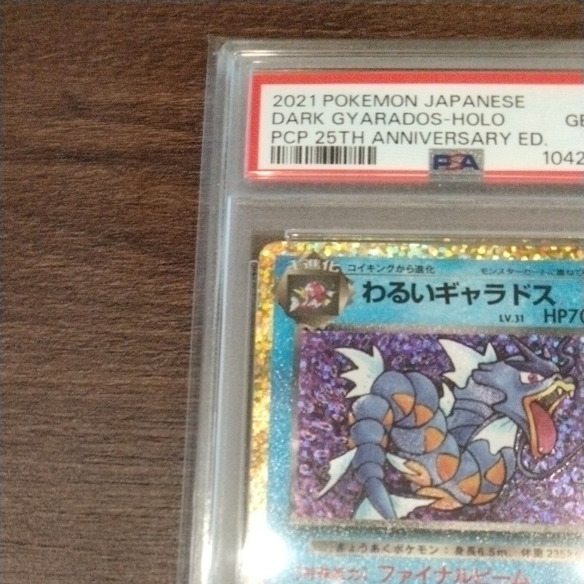 PSA10 1オーナー 2025年3月鑑定 わるいギャラドス 25th プロモ PSA10 1オーナー 2025年3月鑑定 わるいギャラドス 25th プロモ