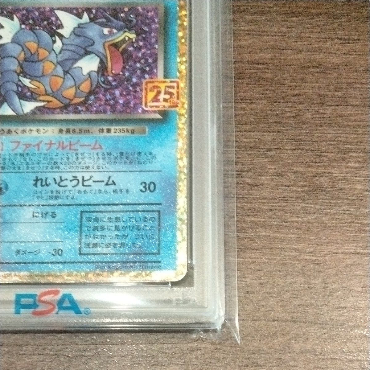 PSA10 1オーナー 2025年3月鑑定 わるいギャラドス 25th プロモ PSA10 1オーナー 2025年3月鑑定 わるいギャラドス 25th プロモ