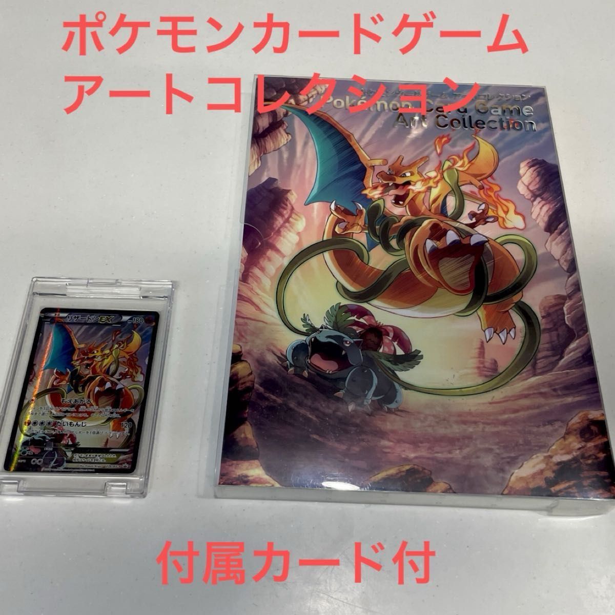 希少】ポケモンカードゲーム アートコレクション 付属カード付 希少】ポケモンカードゲーム アートコレクション 付属カード付