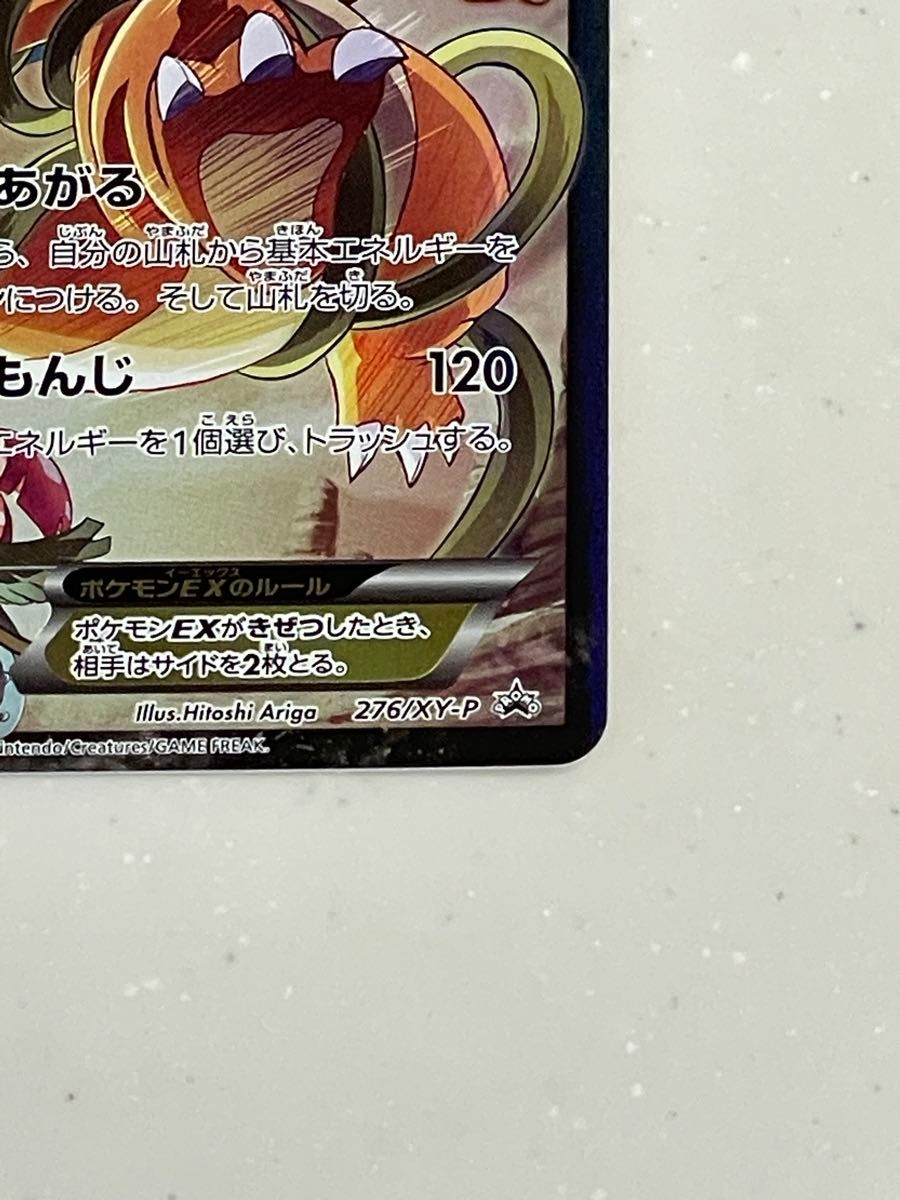 希少】ポケモンカードゲーム アートコレクション 付属カード付 希少】ポケモンカードゲーム アートコレクション 付属カード付