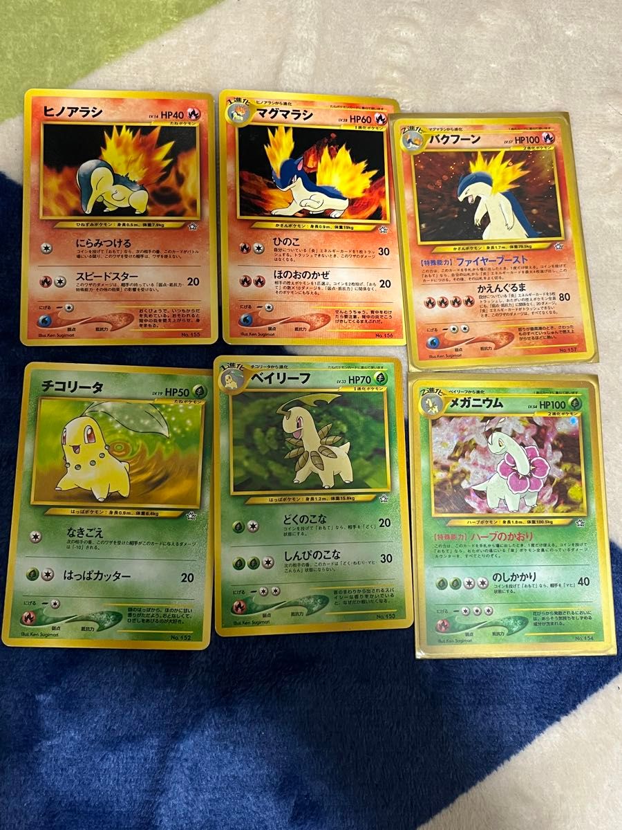 ポケモン 旧裏 金銀 御三家 プレミアムファイル メガニウム ポケモン 旧裏 金銀 御三家 プレミアムファイル メガニウム