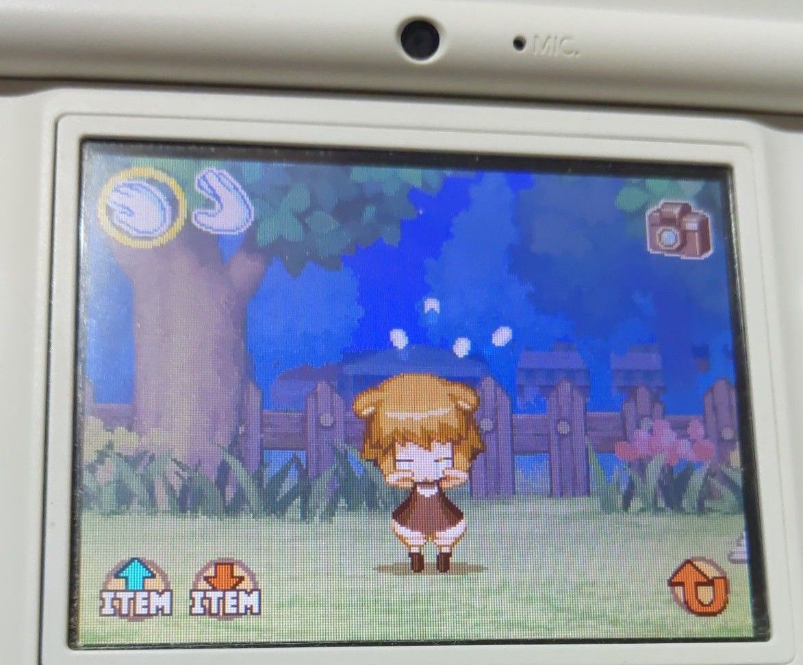 DS くまたんち DSi本体 セット レアソフト プレミア レトロ DS くまたんち DSi本体 セット レアソフト プレミア レトロ