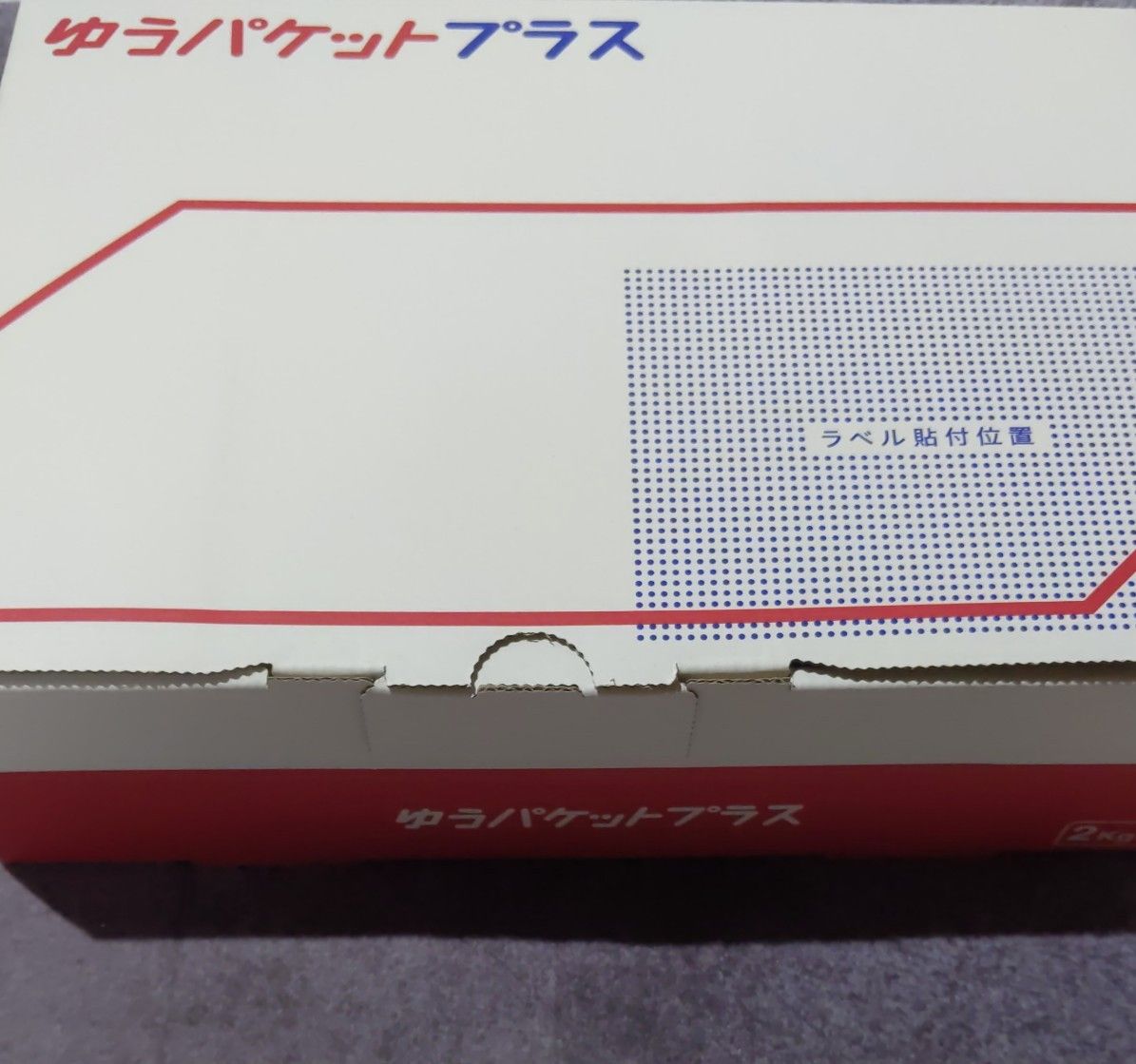 DS くまたんち DSi本体 セット レアソフト プレミア レトロ DS くまたんち DSi本体 セット レアソフト プレミア レトロ