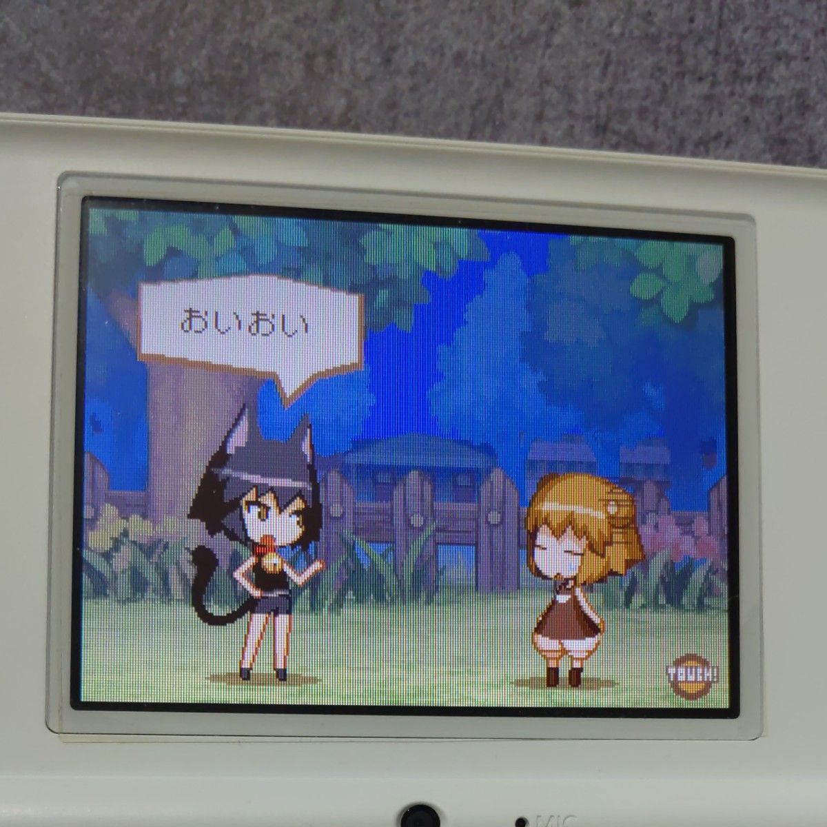 DS くまたんち DSi本体 セット レアソフト プレミア レトロ DS くまたんち DSi本体 セット レアソフト プレミア レトロ