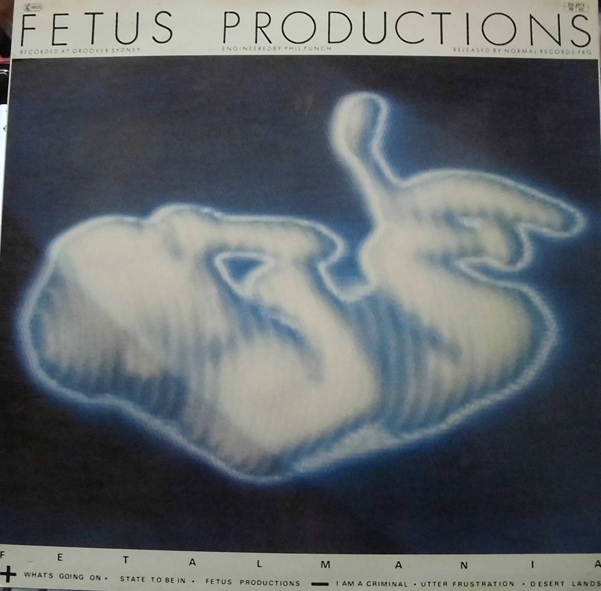 試聴美盤【 Experimental /80's New Wave 】Fetus Productions - Fetalmania /Normal (Germany)LP/What's Going On_画像2