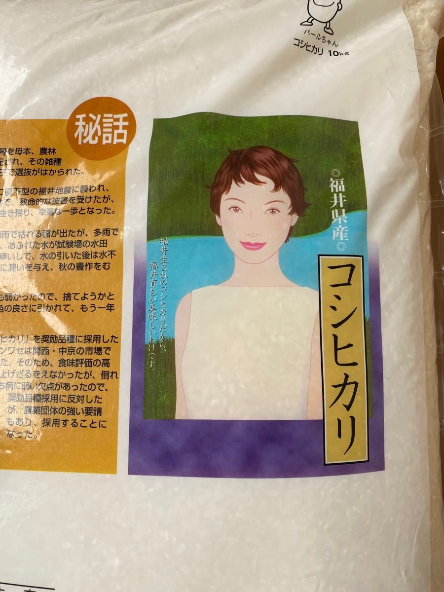 福井県産 コシヒカリ 10kg 令和6年産 白米 単一原料米 送料無料 福井県産 コシヒカリ 10kg 令和6年産 白米 単一原料米 送料無料