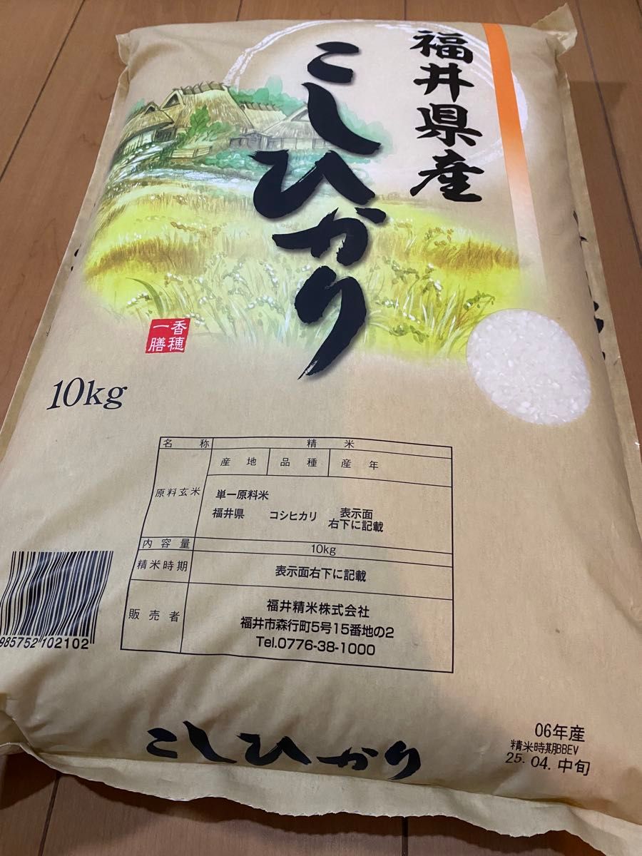 福井県産 コシヒカリ 10kg 令和6年産 白米 単一原料米 送料無料 福井県産 コシヒカリ 10kg 令和6年産 白米 単一原料米 送料無料