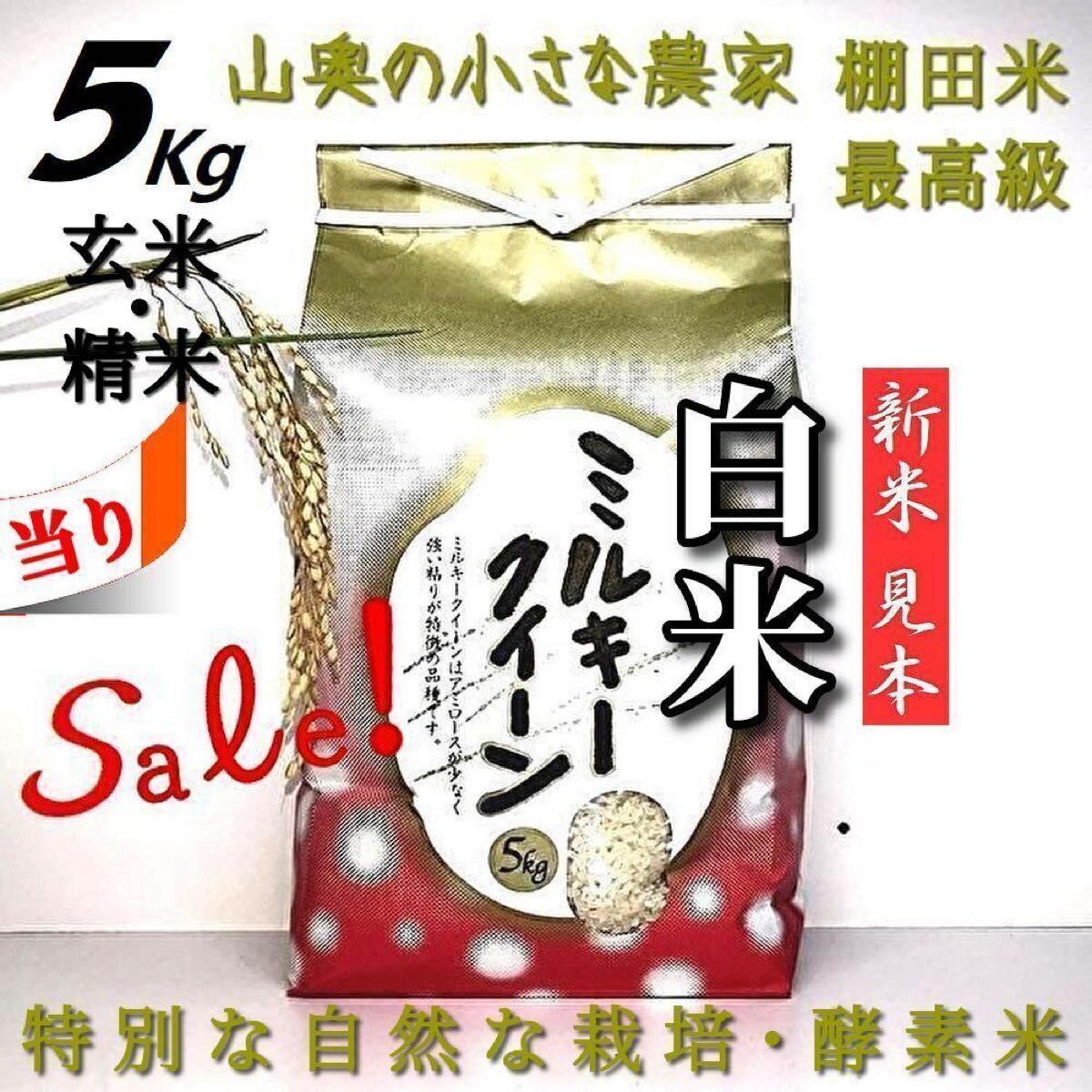 超希少】ミルキークイーン 酵素米 玄米5kg「標準白米に精米 超希少】ミルキークイーン 酵素米 玄米5kg「標準白米に精米